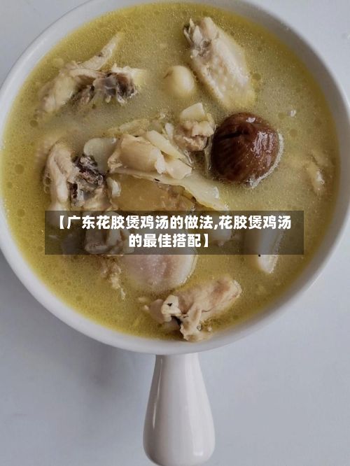 【广东花胶煲鸡汤的做法,花胶煲鸡汤的最佳搭配】