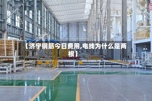 【济宁钢筋今日费用,电线为什么是两根】