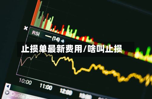 止损单最新费用/啥叫止损-第2张图片