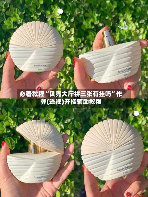 必看教程“贝壳大厅拼三张有挂吗	”作弊(透视)开挂辅助教程-第2张图片