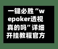 一键必胜“wepoker透视真的吗”详细开挂教程官方正版下载-第3张图片