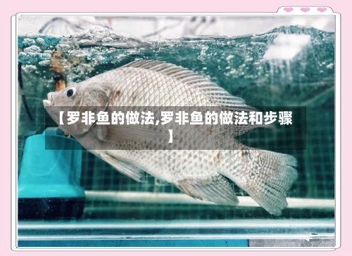【罗非鱼的做法,罗非鱼的做法和步骤】