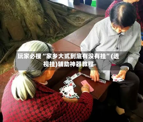 玩家必搜“家乡大贰到底有没有挂”(透视挂)辅助神器教程