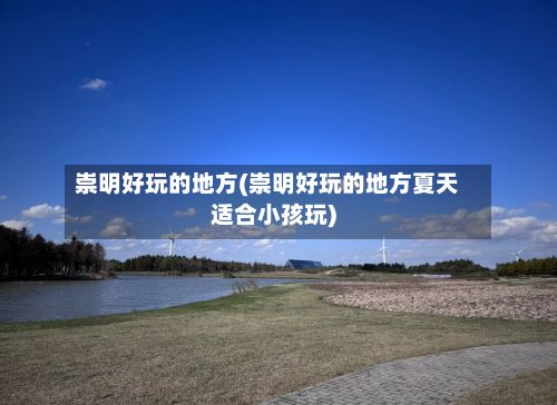 崇明好玩的地方(崇明好玩的地方夏天适合小孩玩)-第2张图片