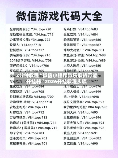 3分钟教程“微信小程序微乐麻将万能开挂器”2026开挂教程步骤-第3张图片