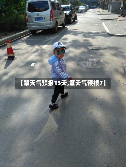 【肇天气预报15天,肇天气预报7】-第3张图片