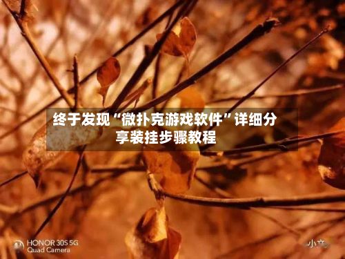 终于发现“微扑克游戏软件	”详细分享装挂步骤教程-第2张图片