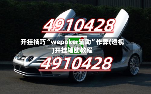 开挂技巧“wepoker辅助”作弊(透视)开挂辅助教程-第3张图片