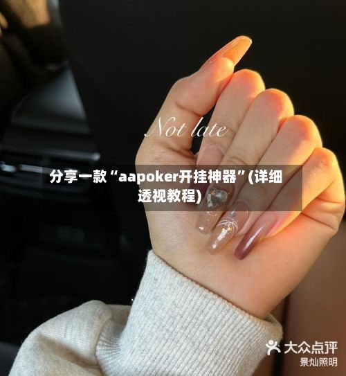 分享一款“aapoker开挂神器”(详细透视教程)-第3张图片