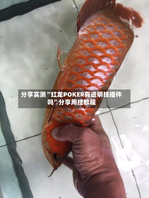 分享实测“红龙POKER有透明挂插件吗”分享用挂教程-第3张图片