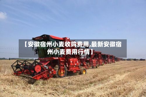 【安徽宿州小麦收购费用,最新安徽宿州小麦费用行情】-第2张图片