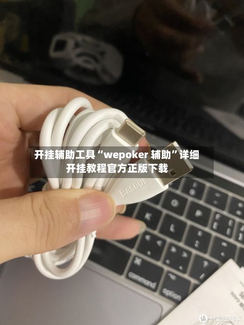 开挂辅助工具“wepoker 辅助	”详细开挂教程官方正版下载-第2张图片