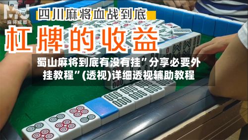蜀山麻将到底有没有挂”分享必要外挂教程	”(透视)详细透视辅助教程-第3张图片