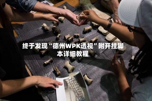 终于发现“德州WPK透视”附开挂脚本详细教程-第2张图片