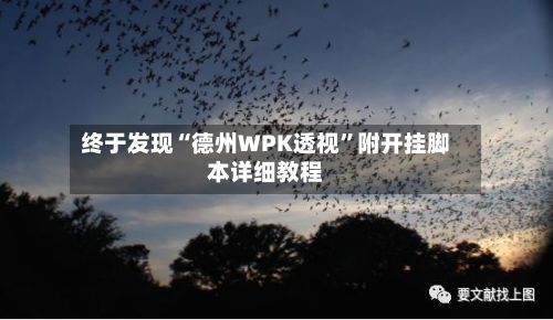 终于发现“德州WPK透视”附开挂脚本详细教程