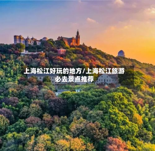 上海松江好玩的地方/上海松江旅游必去景点推荐-第2张图片