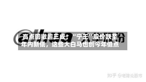 高点回撤超三成！“宁王”股价跌至年内新低	，这些大白马也创今年低点-第3张图片