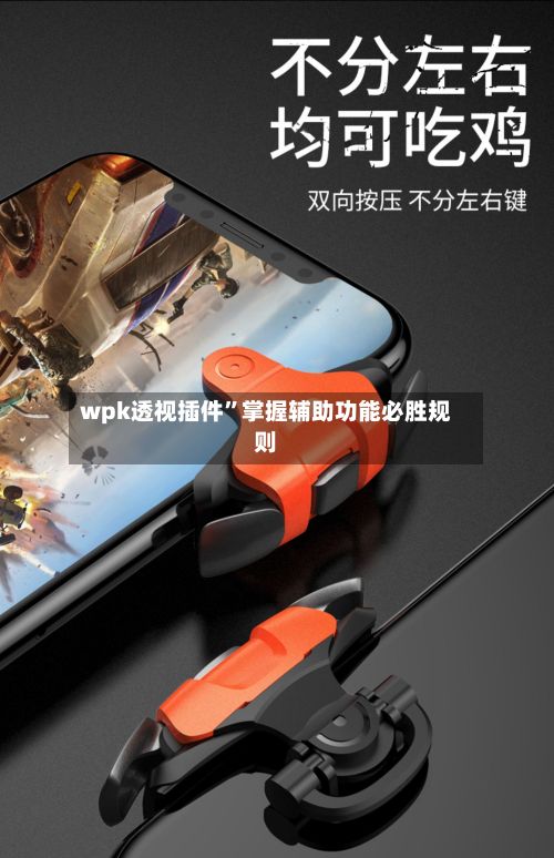 wpk透视插件”掌握辅助功能必胜规则-第2张图片