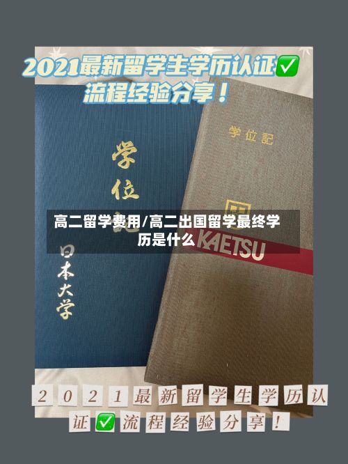 高二留学费用/高二出国留学最终学历是什么-第3张图片