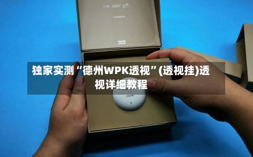 独家实测“德州WPK透视”(透视挂)透视详细教程