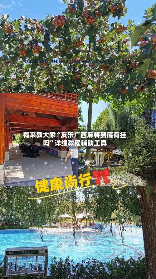 我来教大家“友乐广西麻将到底有挂吗	”详细教程辅助工具-第2张图片