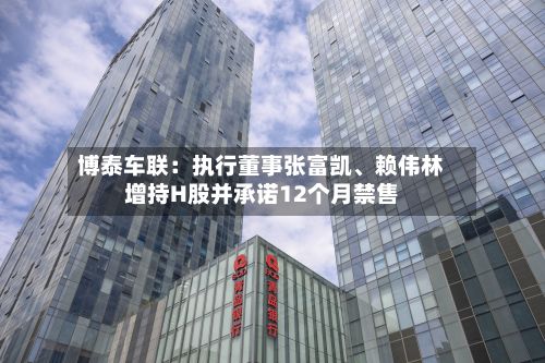 博泰车联：执行董事张富凯、赖伟林增持H股并承诺12个月禁售-第2张图片