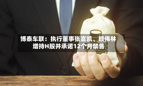 博泰车联：执行董事张富凯、赖伟林增持H股并承诺12个月禁售-第3张图片