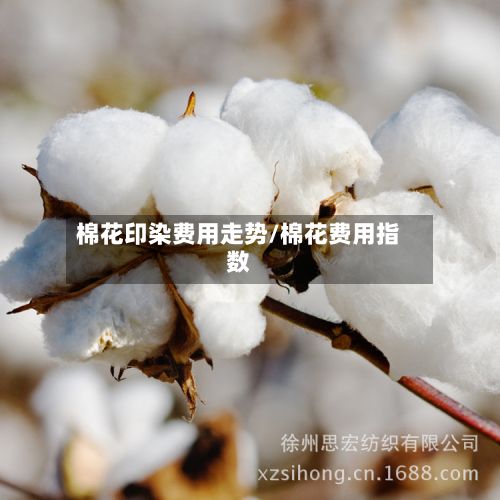 棉花印染费用走势/棉花费用指数