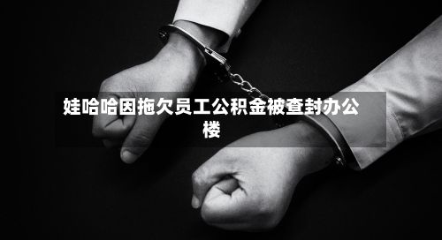 娃哈哈因拖欠员工公积金被查封办公楼