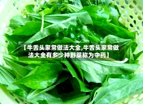 【牛舌头家常做法大全,牛舌头家常做法大全有多少种野菜称为中药】-第2张图片