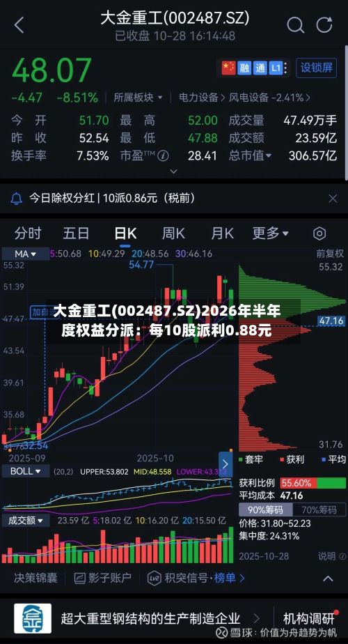 大金重工(002487.SZ)2026年半年度权益分派：每10股派利0.88元