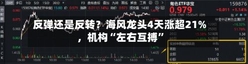反弹还是反转？海风龙头4天涨超21%，机构“左右互搏”