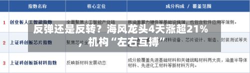 反弹还是反转？海风龙头4天涨超21%	，机构“左右互搏”-第2张图片