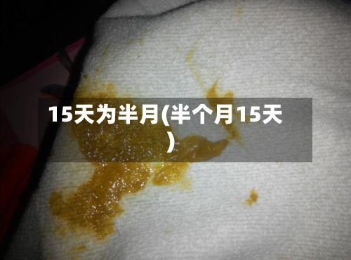 15天为半月(半个月15天)