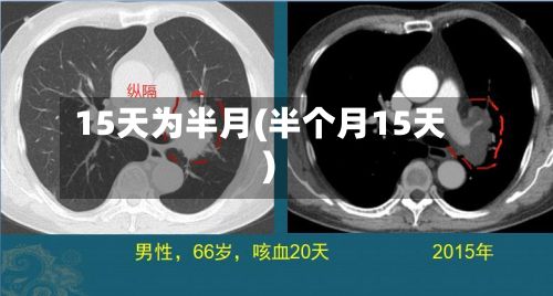 15天为半月(半个月15天)-第3张图片