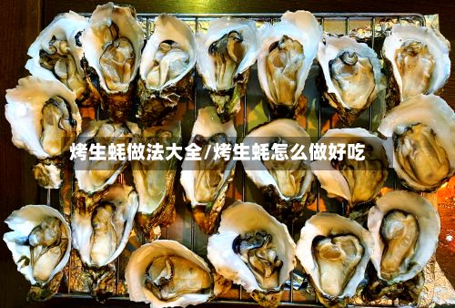 烤生蚝做法大全/烤生蚝怎么做好吃