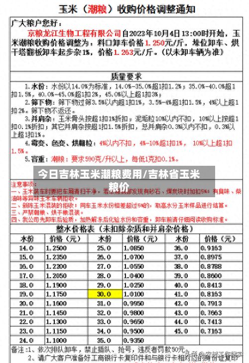 今日吉林玉米潮粮费用/吉林省玉米粮价