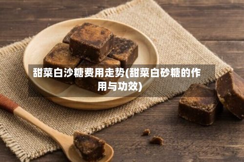 甜菜白沙糖费用走势(甜菜白砂糖的作用与功效)-第3张图片