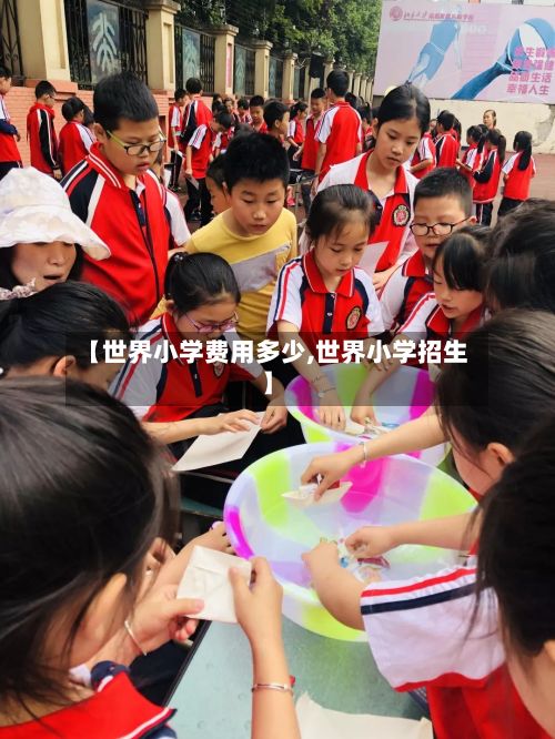 【世界小学费用多少,世界小学招生】