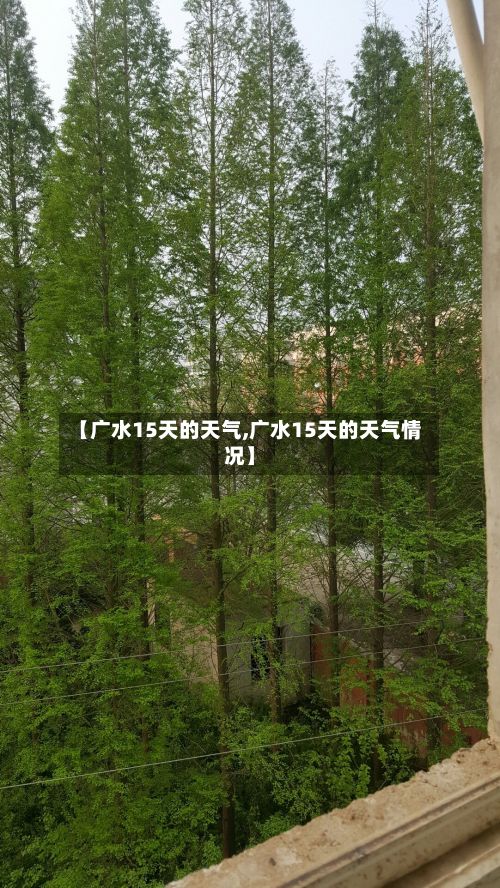 【广水15天的天气,广水15天的天气情况】