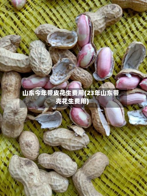 山东今年带皮花生费用(23年山东带壳花生费用)-第2张图片