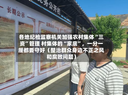 各地纪检监察机关加强农村集体“三资	”管理 村集体的“家底”，一分一厘都要守好（整治群众身边不正之风和腐败问题）-第3张图片