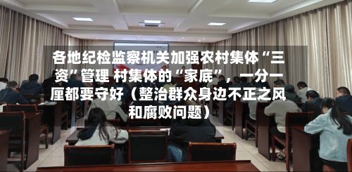 各地纪检监察机关加强农村集体“三资”管理 村集体的“家底”，一分一厘都要守好（整治群众身边不正之风和腐败问题）