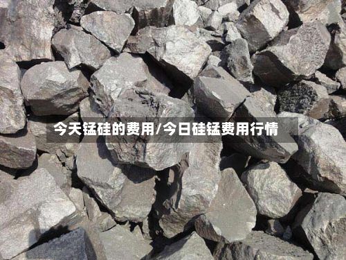 今天锰硅的费用/今日硅锰费用行情