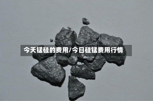 今天锰硅的费用/今日硅锰费用行情-第2张图片
