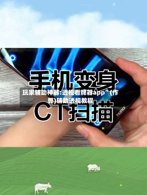 玩家辅助神器:透视看牌器app	”(作弊)辅助透视教程-第2张图片