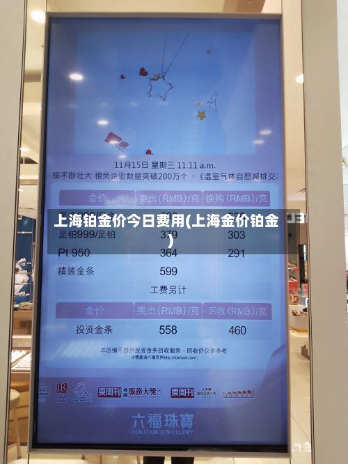 上海铂金价今日费用(上海金价铂金)