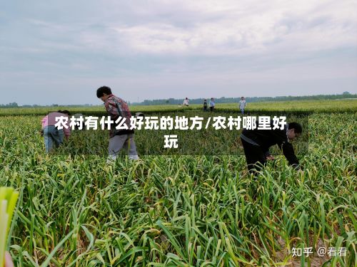 农村有什么好玩的地方/农村哪里好玩