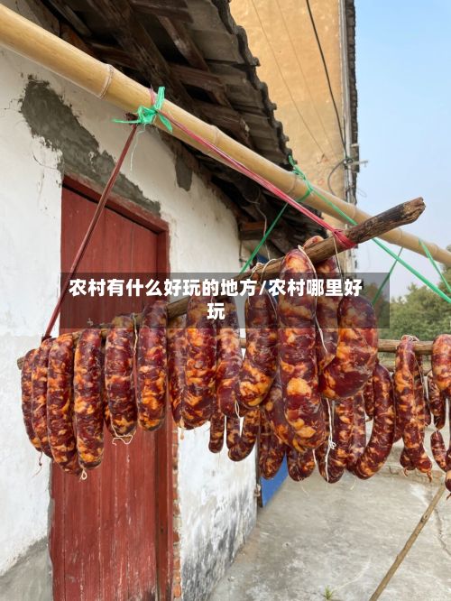 农村有什么好玩的地方/农村哪里好玩-第3张图片