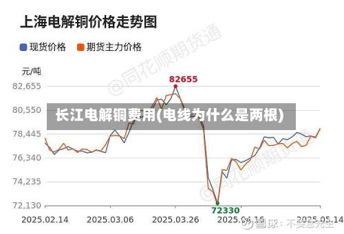 长江电解铜费用(电线为什么是两根)